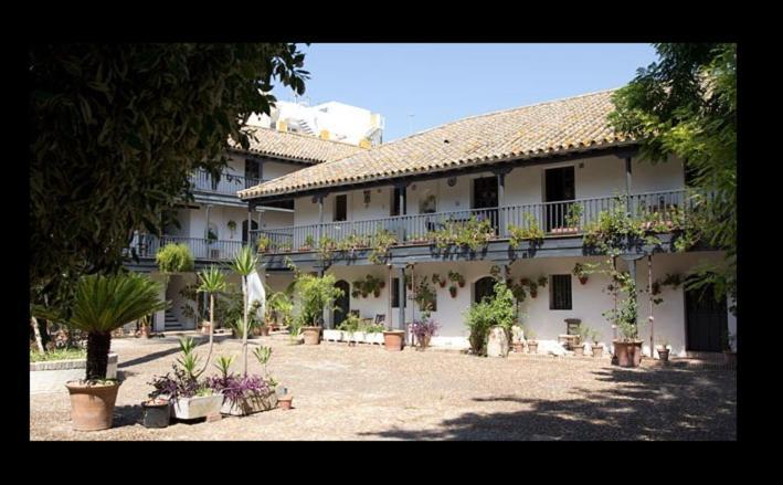 Apartamento En Monumento Historico Nacional Corral Del Conde-Duque De Olivares Севілья Екстер'єр фото